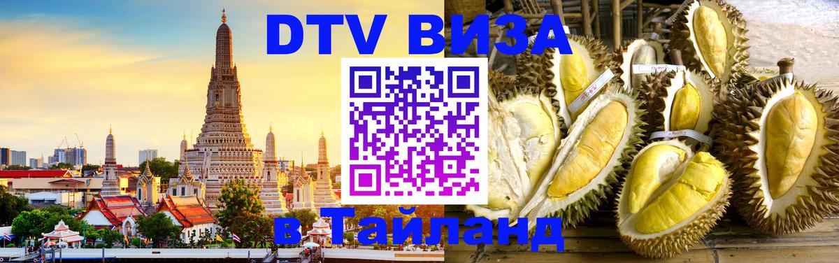 Оформление DTV визы под ключ: стоимость и тарифы, только загранпаспорт - 